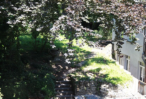 Jardin
